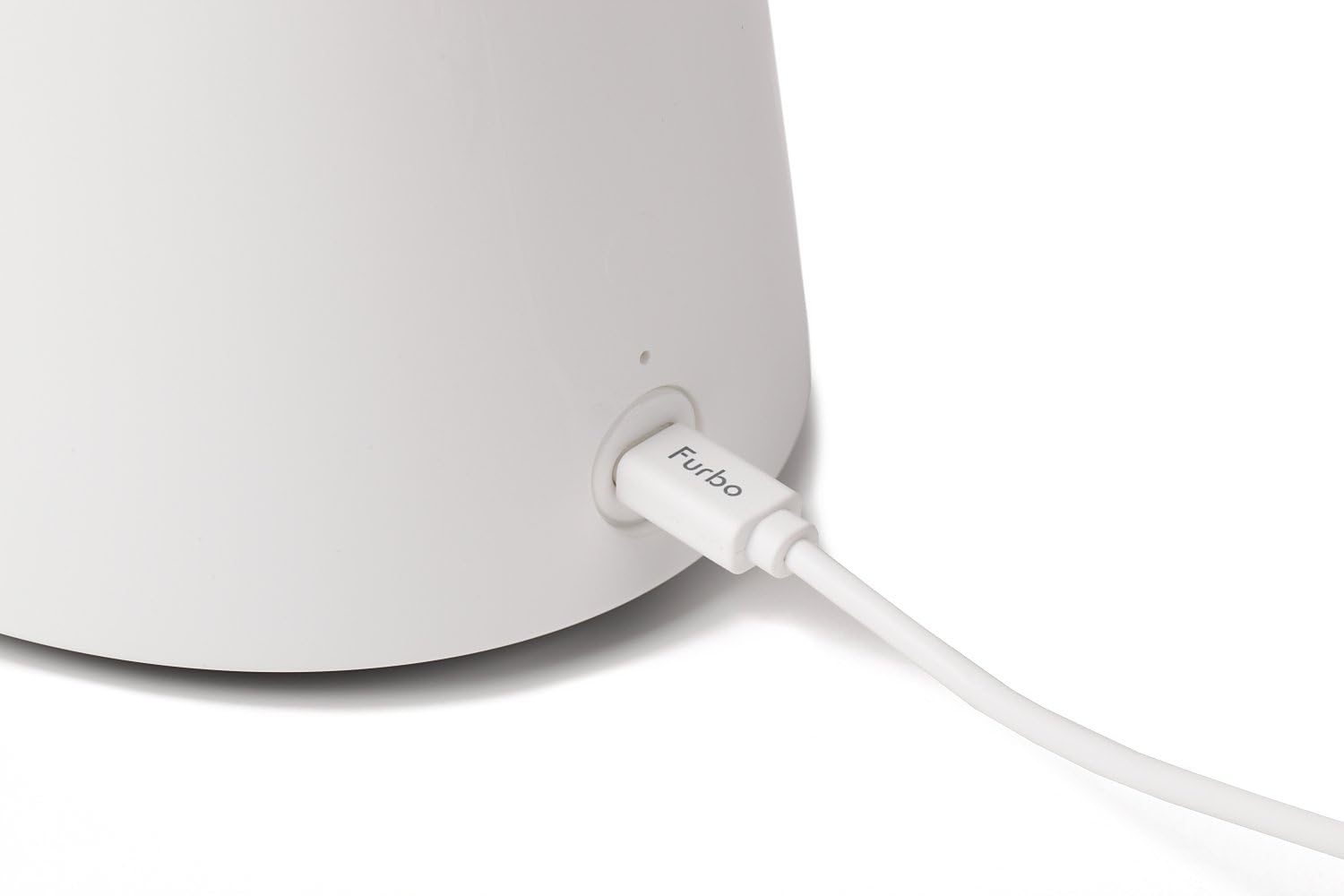 kitten suddenly peeing everywhere