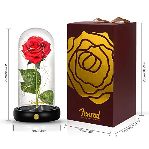 Schoonheid en het beest Rose Kit, betoverde rode zijde roos voor altijd bloem LED licht in glazen koepel houten basis… - Afbeelding 7