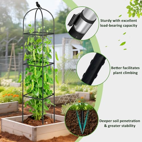 Image of Square Tomato Cages for Garden, 6.2 FT Cucumber Trellis for Flowers, Grape, Pea, Rose, Bean, Rustproof Plastic Coated Metal Plant Support for Potted Plants Indoor Outdoor - 2PC Obelisk Trellis