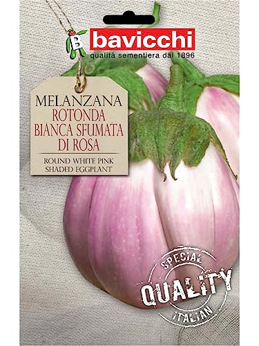 Bavicchi VME02 Busta semi Melanzana rotonda bianca sfumata di rosa