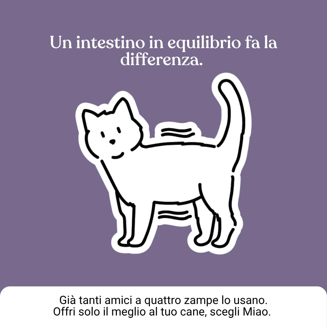 Miào Stop Diarrea Gatto Pasta – Supporto Intestinale per Diarrea Acuta, Feci più Solide, Reintegro Elettroliti e Liquidi, Pancia Gonfia, Facile Somministrazione