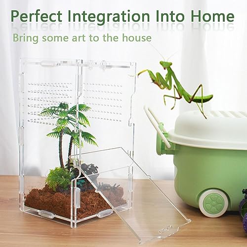 Image of 8x4x4 Inch Modern Rectangular Acrylic & Polycarbonate Vivarium for Tarantulas, Lizards, Snakes, Geckos, Jumping Spiders, Snails, Insects