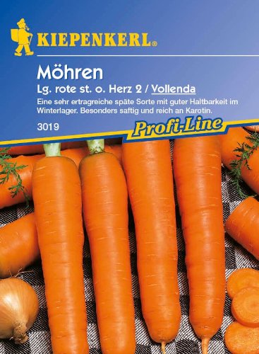 Saatgut Möhren/Karotten Lange rote stumpfe ohne