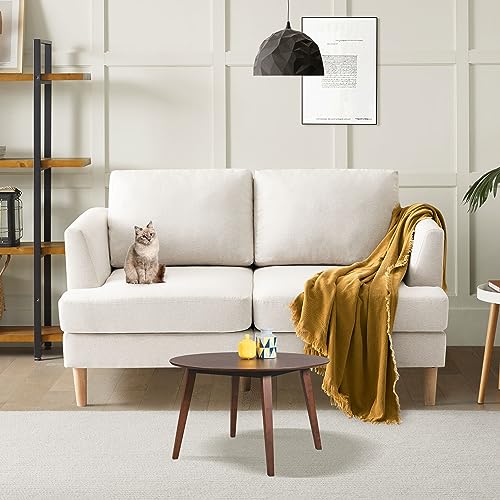 Busaurus Loveseat Sofa 56", Small Couches for Small Spaces, Mid Century Love Seat Couches for Living Room, Upholstered 2-Seater Small Couch for Bedroom, Apartment, Beige