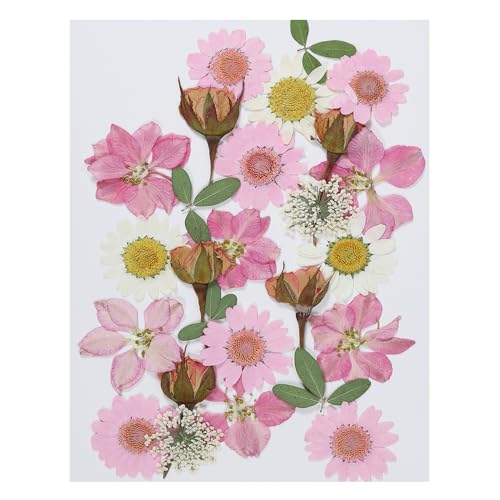 Flores prensadas secas naturales para manualidades DIY miniatura 1