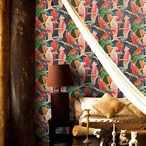 Papier peint perroquet coloré pour une ambiance chaleureuse - 5