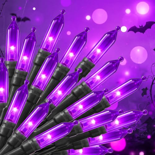 Image of Brightown Purple Battery Operated Christmas String Lights with Timer | 8ft 20LED Mini Christmas Tree Lights for Indoor Outdoor Bedroom Wedding Party Holiday Xmas Decoration