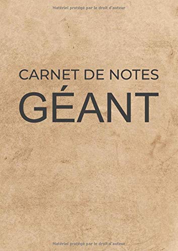 Carnet de notes Géant: Gros cahier 600 Pages Avec Papier Ligné Grand Format A4 (21 x 29.7 cm) PDF