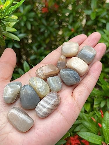 Image of 1 /2 LB Moonstone Multi Tumbled Stones, Polished Natural Moonstone Multi Gemstone, Moonstone Multi Healing Crystals (Moonstone Multi)