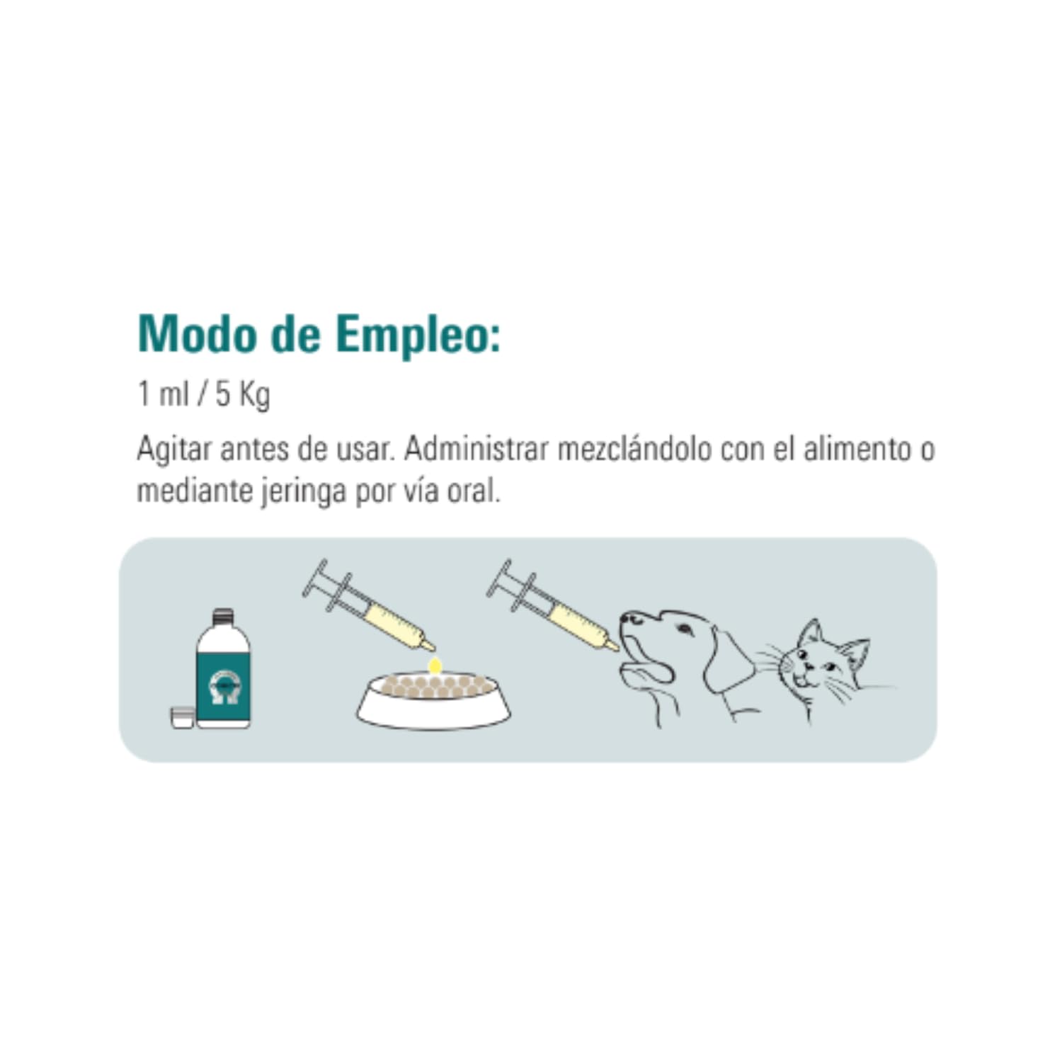 VetNova - Conecta Plus, Solución Oral con Omega-3 (DHA EPA), Vitaminas B, A, D3 y E con Ginkgo Biloba para Perros y Gatos, Ayuda a Preservar la Funcionalidad Cognitiva, Movilidad y Bienestar - 450 ml