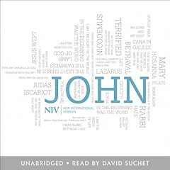 NIV Bible: Gospel of John cover art