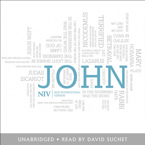 NIV Bible: Gospel of John: New International Version (Audio Download ...