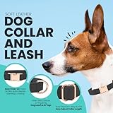 Zoom IMG-2 mypetstock set collare e guinzaglio Zoom IMG-2 mypetstock set collare e guinzaglio