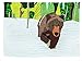 Paint-by-Number Quilts: 4 Animal Appliqués with Vintage Style