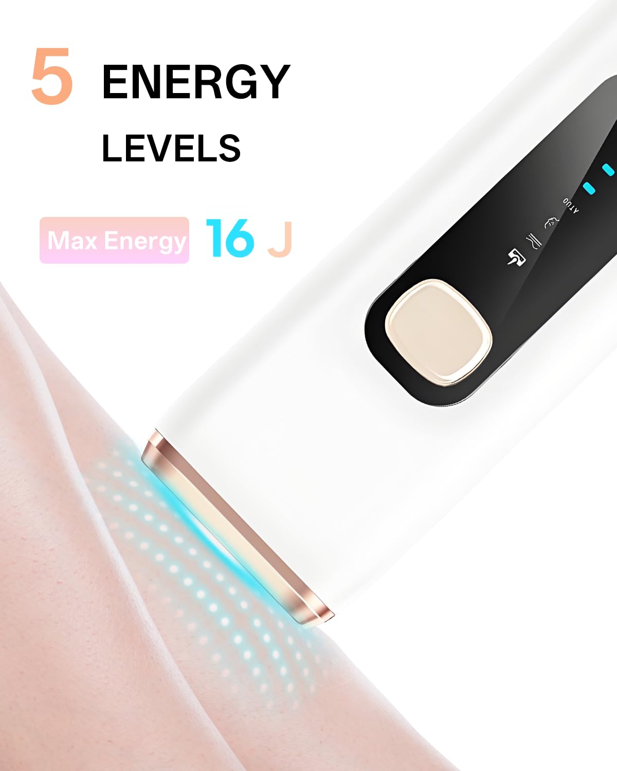 https://m.media-amazon.com/images/I/51G6DXlrfeL.jpg