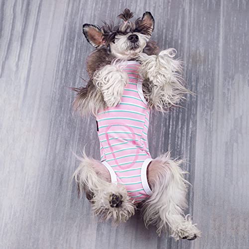 Image of Puppy Striped Recovery Suit for Female Male Dogs Cats,Zip Up Dog Onesie Recovery Shirt Abdominal Wounds,Professional Spay Neuter Dog Pet Bodysuit After Surgery Wear Anti Licking Wounds