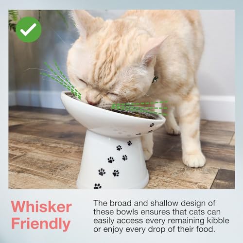 image for Necoichi Extra Wide Raised Cat Food Bowl, Elevated, Prevent Neck & Whi