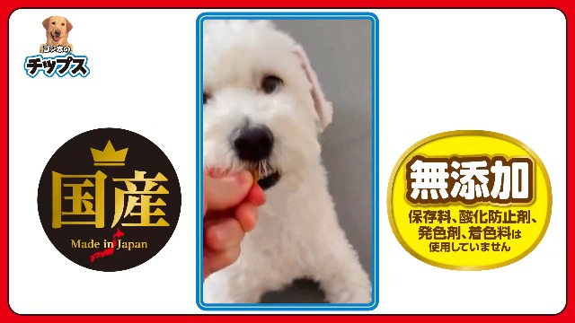 Amazon | ゴン太のササミチップス プチタイプ 130g | ゴン太