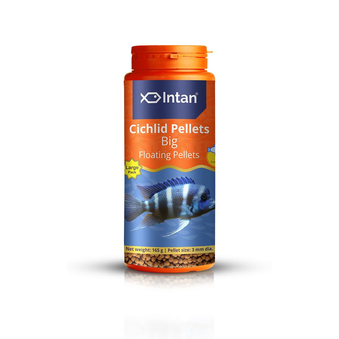 Intan Cichlid Pellets (Big 3mm Floating) | 165gm - Highly Nutritious Ornamental Fish Food for All Varieties of Small & Big Cichlids | Growel Feeds