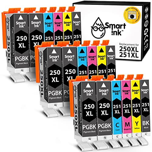 Smart Ink Compatible Ink Cartridge Replacement For Canon Pgi 250 Pgi-250 Xl Cli 251 Cli-251 (6Pgbk &3Bk/C/M/Y 18 Pack Combo) For Pixma Mg5420 Mg5422 Mg5520 Mg5522 Mg5620 Mg6620 Ip7220 Ix6820 Mx722 #TOP5