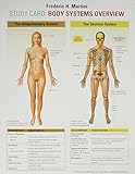 Study Card for Martini: Body Systems Overview