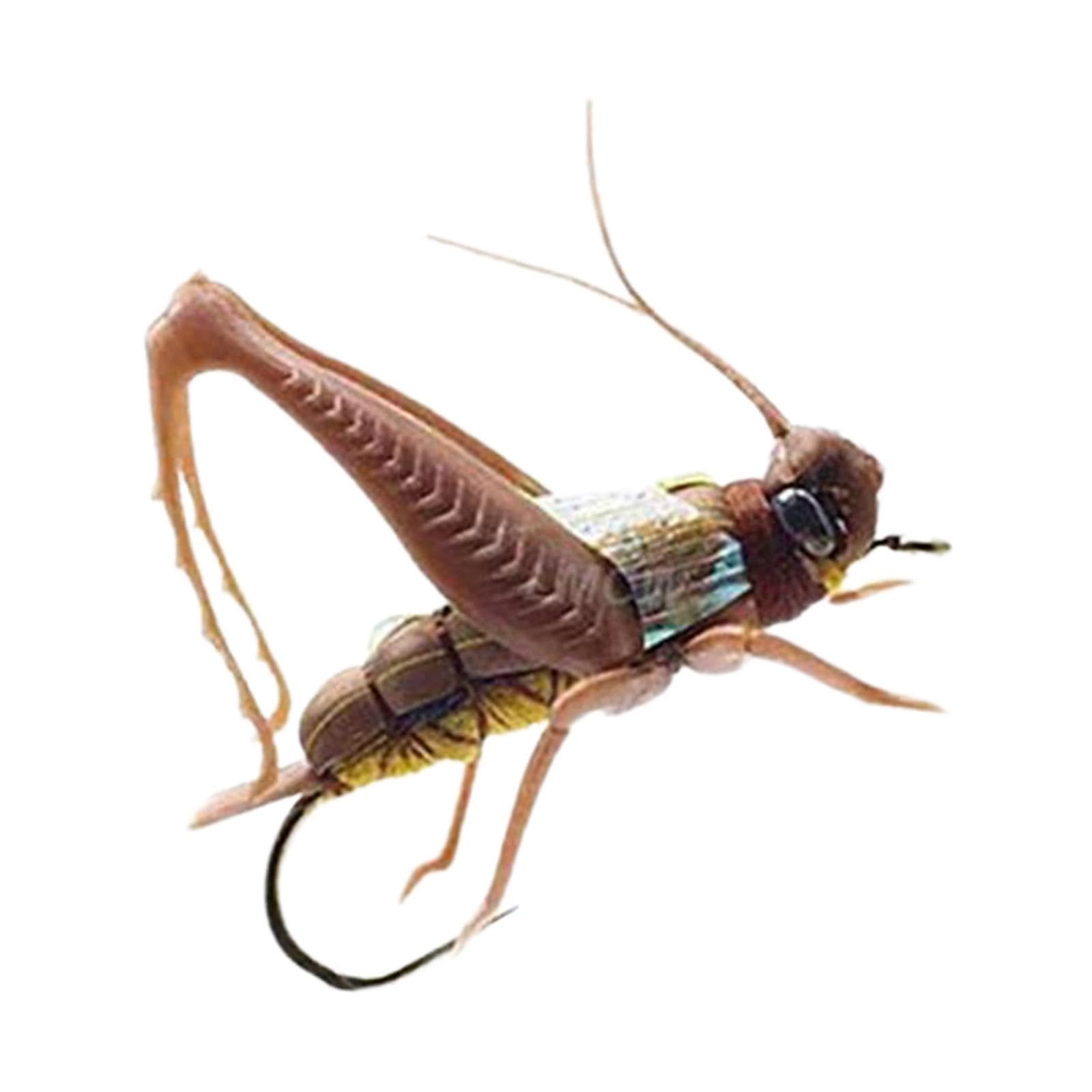 Meadawgs® Fishing Lure Bionic Locust Bait for Tilapia White Striped Fish Mandarin Fish Brown|Sporting Goods | Fishing |Crankbaits|1 Fishing Lure-image-48