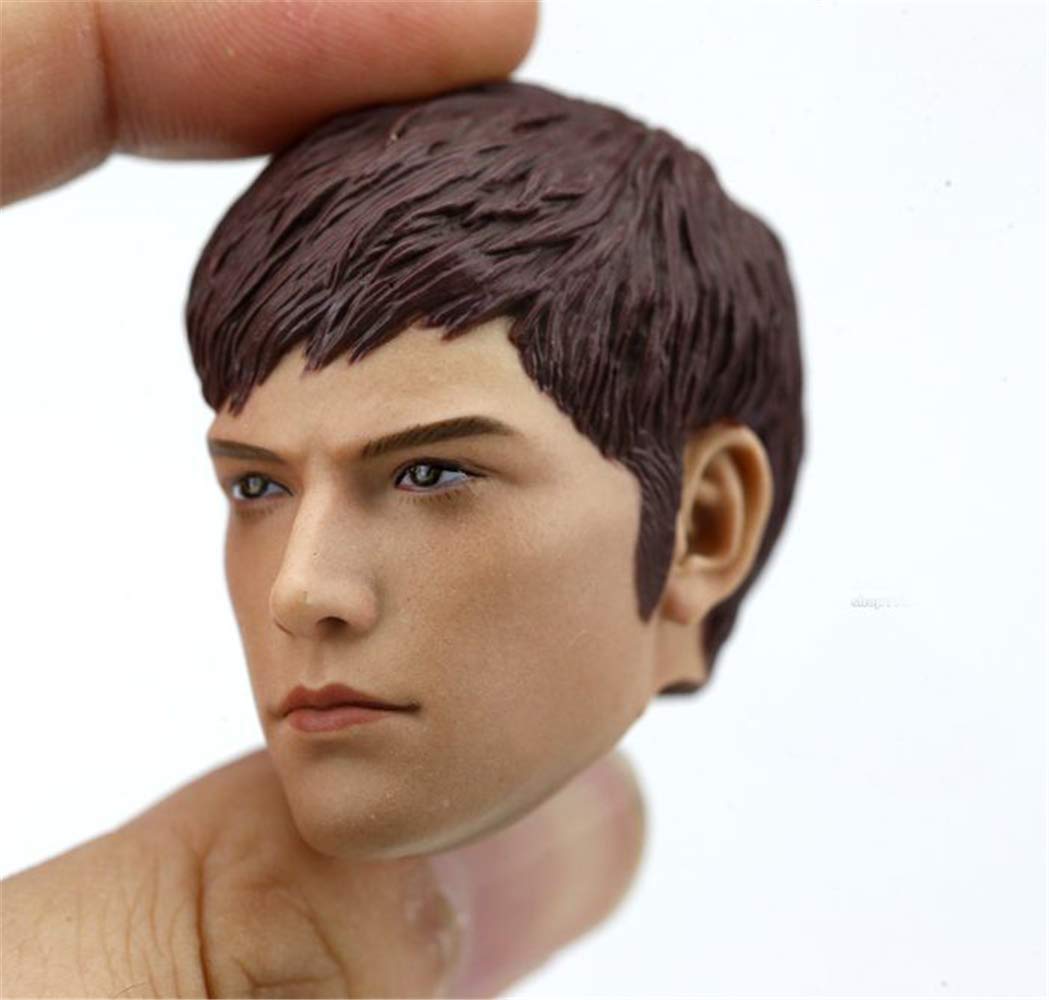 Amazon.co.jp: HiPlay 1/6 フィギュア ドール 用 ヘッド 頭 男性 欧米