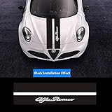 1: Hochwertige PVC, leicht, rostfrei, rostfrei, langlebiges Material/Selbstklebendes Design, harmlos für das Auto, einfach am Auto zu installieren, fällt nicht ab/