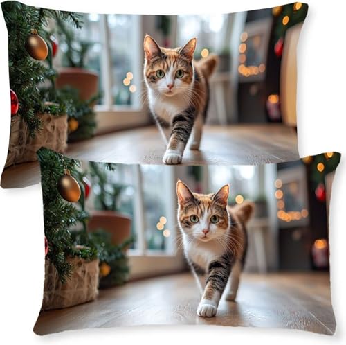 ���J�o�[�N�b�V�����N�b�V�����J�o�[ �x���x�b�g�f�� 2�� �N���X�}�X�c���[ �����I�� ���J�o�[ ���z�c�J�o�[ �O�єL40 x 80 cm�􂦂� �ӂ�ӂ�\�t�@�B���t�@�X�i�[�\�t�@�[�p�w���Ė��J�o�[�\�t�@�[�N�b�V���� �l�G�ʗpj0l-537