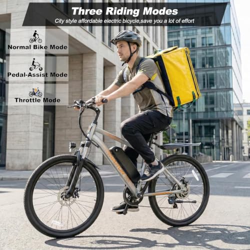 VARUN 500W Electric All-Terrain Bike