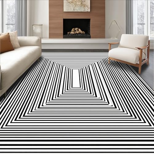 ODIKA Flatwoven High Traffic Area Rug 5x7, Minimalist Linear Maze