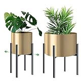 Soporte para Plantas Metal Elegante - Ajustable Soporte Macetas para Flores, Fácil Montaje Soporte Estable y Duradero para Maceteros Ø 21-30 cm, Jardinería Decoración de Pedestal Interior Exterior