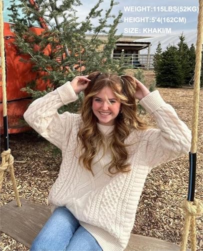 Aelfric Eden Oversized Knit Sweater Solid Vintage Pullover Sweater Unisex Woven Crewneck Knitted Tops3