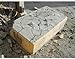 Dexpan Expansive Demolition Grout 44 Lb. Box for Rock Breaking, Concrete Cutting, Excavating. Alternative to Demolition Jack Hammer Breaker, Jackhammer, Concrete Saw, Rock Drill (DEXPAN44BOX1 (77-104