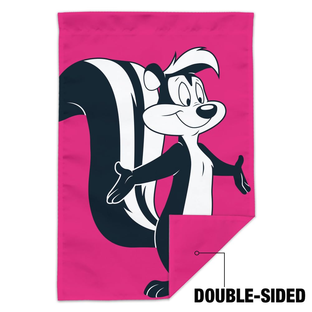 限定 貴重 ルーニーテューンズ ペペルピュー ペネロペ アニメーションフレーム 限定 貴重 ルーニーテューンズ ペペルピュー ペネロペ