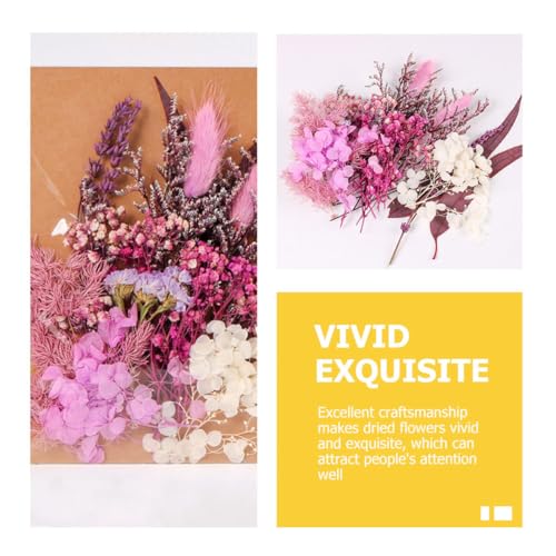 Ipetboom paquete de flores secas para manualidades miniatura 3