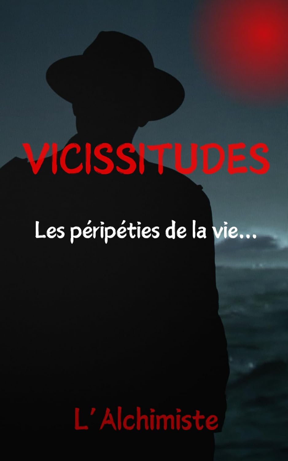 VICISSITUDES