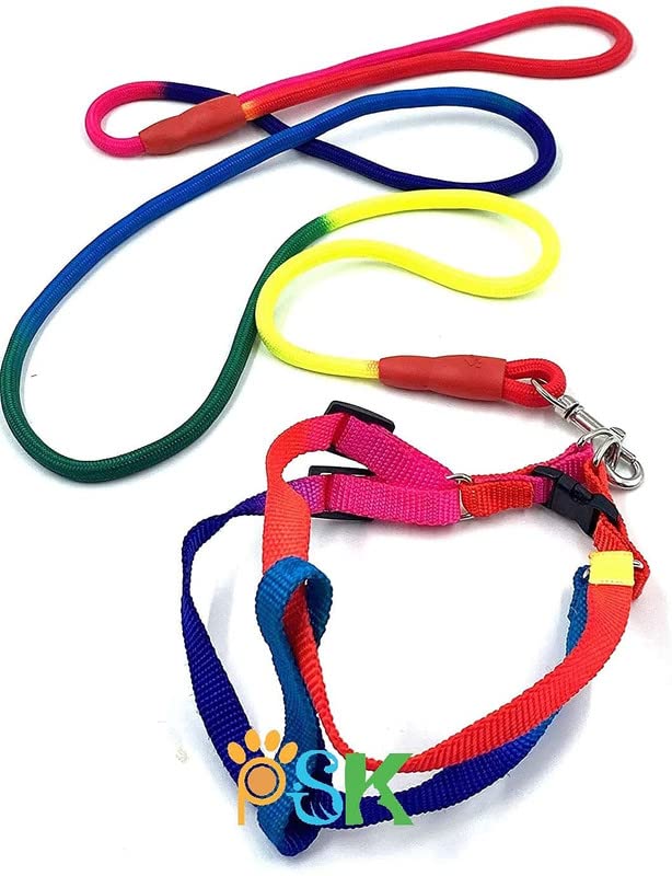 Dog & Cat Rainbow Colour Adjustable Nylon Puppy Leash Harness Large (Multi-Color) (B09V5QM5SB) Amazon Price History, Amazon Price Tracker