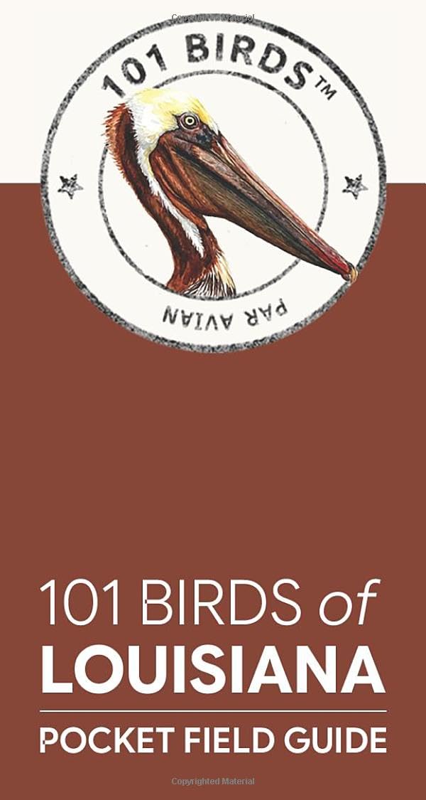 101 Birds of Louisiana: Pocket Field Guide (101 Birds Pocket Field Guides)