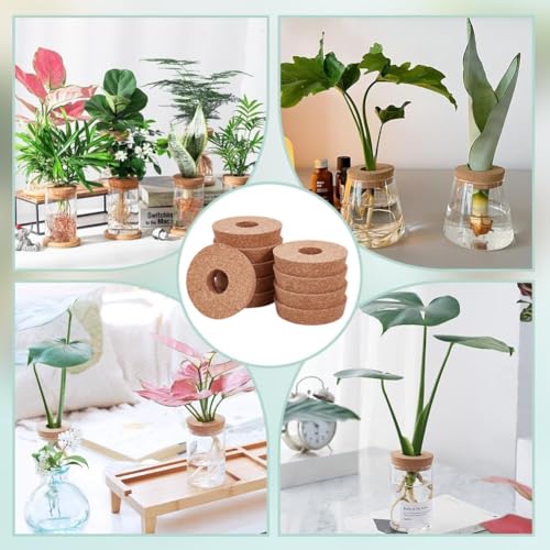 OLYCRAFT 10 Pcs Cork Lids for Glass Planter 3.3~3.5 Inch Hydroponic Vase Lid Cork Replacement Plant Corks with Center Hole Hydroponic Planter Lids for Hydroponics Growing Vases Stoppers - Image 6