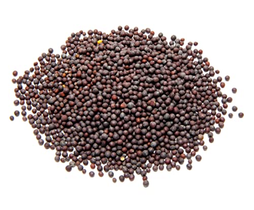 A D Food & Herbs Organic Mustard Seeds/Sarson Ke Beej/Rai/Raee Pure and Natural Spice Masala for Cooking & Pickle Making (20 Gms x pack of 2)