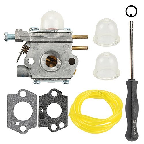 Buy Hilom WT973 Carburetor with Adjustment Tool Fuel Line for MTD