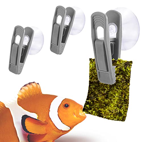 JOR Fish Veggie, Kelp, and Catappa Leaf Suction Cup Clip Feeder, Perfect for Bettas, Plecos, Snails, Shrimp, Release Beneficial Elements in Water, Turtles Love It, 3pcs