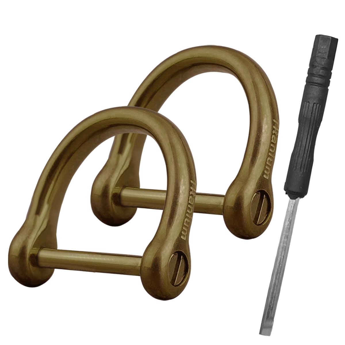 LHDOS 2PCS Small Titanium Key Ring with Screw Shackle- Heavy Duty D Shape Horseshoe Clasp Keys Holder- Mini Titanium D Rings for Auto Key Fob Tool -