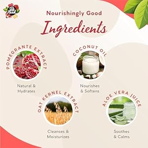 Pet-Head-Pomegranate-Shampoo-Bar-for-Dogs--3in1-Cleanses-Hydrates-Nourishes-all-Dog-Coats-with-Oat-Kernel-Extract-Coconut-Oil-Free-of-parabens-sulphates-Gentle-formula-for-Puppies-3oz - Cucciolini Doodles   Pet-Head-Pomegranate-Shampoo-Bar-for-Dogs--3in1-Cleanses-Hydrates-Nourishes-all-Dog-Coats-with-Oat-Kernel-Extract-Coconut-Oil-Free-of-parabens-sulphates-Gentle-formula-for-Puppies-3oz