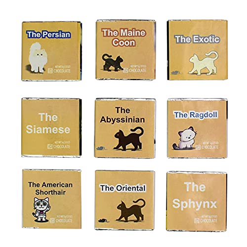 CATS Chocolate Gift Set - 1 box, 5x5 inches - (Domestic Prime)