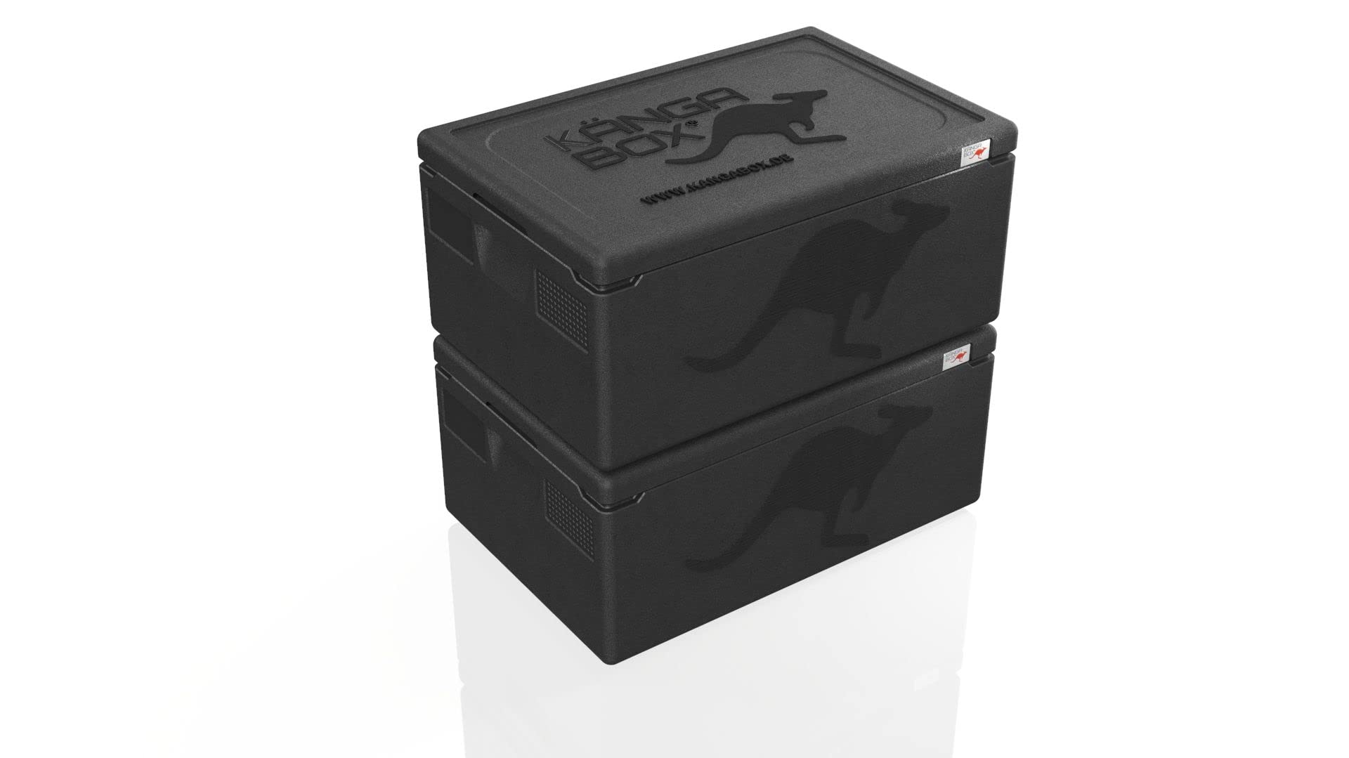 Contenitore Isotermico per Alimenti EXPERT GN-1/1 Box Termico Isolante Professionale [Capacità: 39L] Nero [Misure Interne: 538x338x217 mm]
