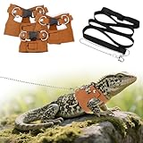 LIQWEI 3Pcs Squirrel Harness, Adjustable Rat Harness and Leash, Bearded Dragon Leashs Hamster Leash, Small Animal Training Easy Walk Harnesses for Guinea Pigs, Hamster, Ferret, Rabbit, Chinchilla