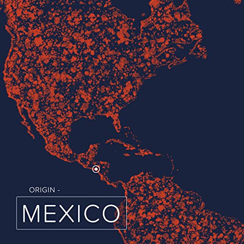 Naissance Sesamzaadolie (Nº248) 1 Liter 100% Puur - Image 8