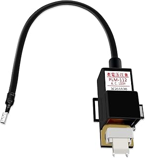 WISINY RTG20235C RTG20235BC Tankless Gas Water Heater Ignitor Coil Replacement Parts Compatible for Rheem Tankless Water Heater Parts Richmond Ignitor Coil and Ruud Replacement